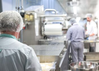 ISO 22000 Food Safety Management System