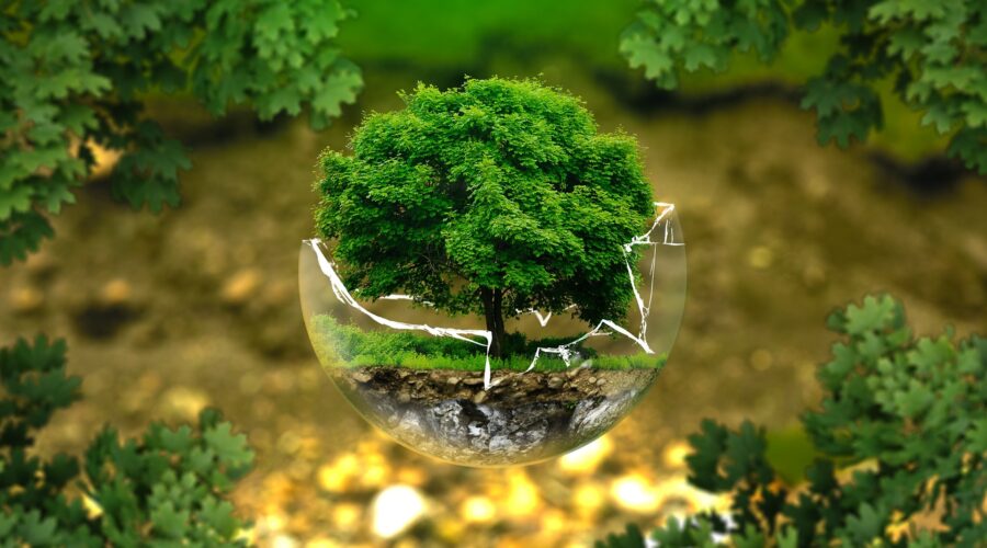 ISO 14001 Environmental Management Systems